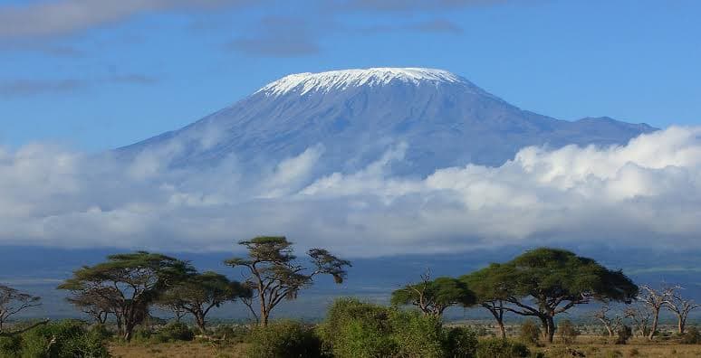 3-Day Mount Kilimanjaro Hike, Tarangire & Ngorongoro Crater Safari