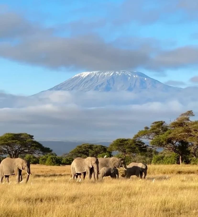 6-Day Kilimanjaro Hiking - Machame Route
