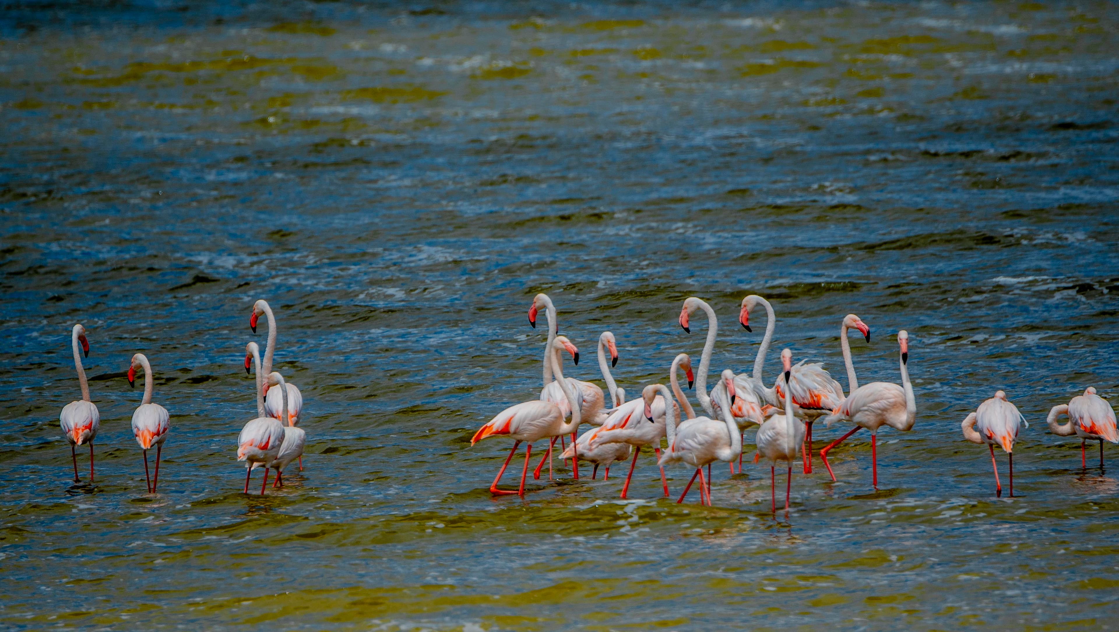 4-Day Luxury Safari to Manyara, Serengeti & Ngorongoro.