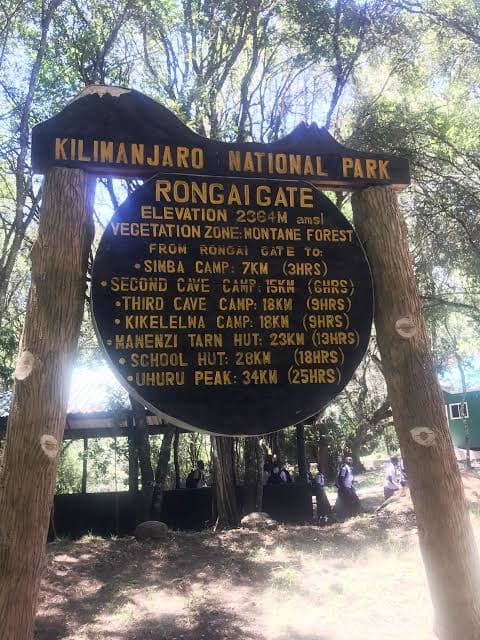 6-Day Mount Kilimanjaro Trekking via Rongai Route