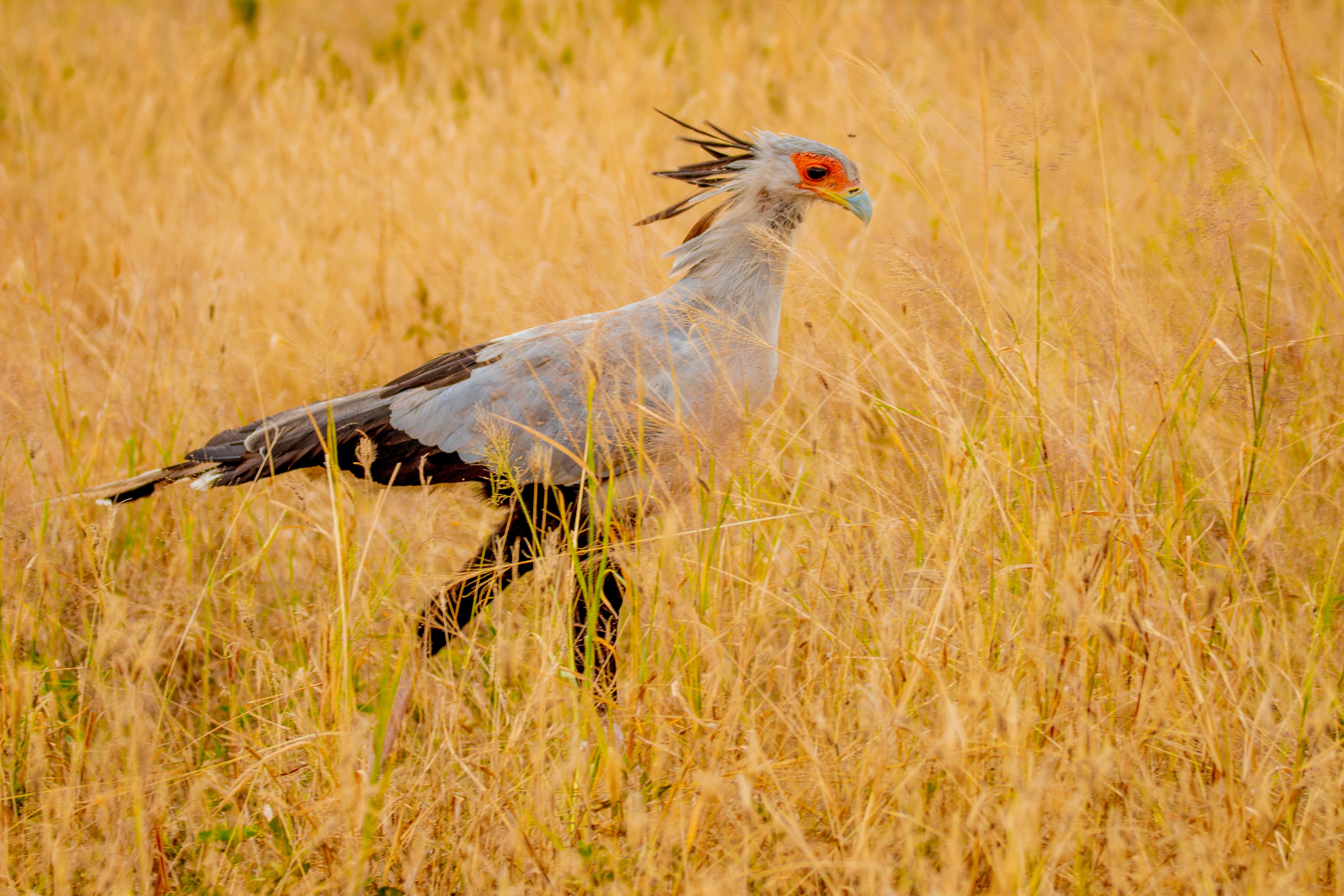 Tanzania landscape and nature