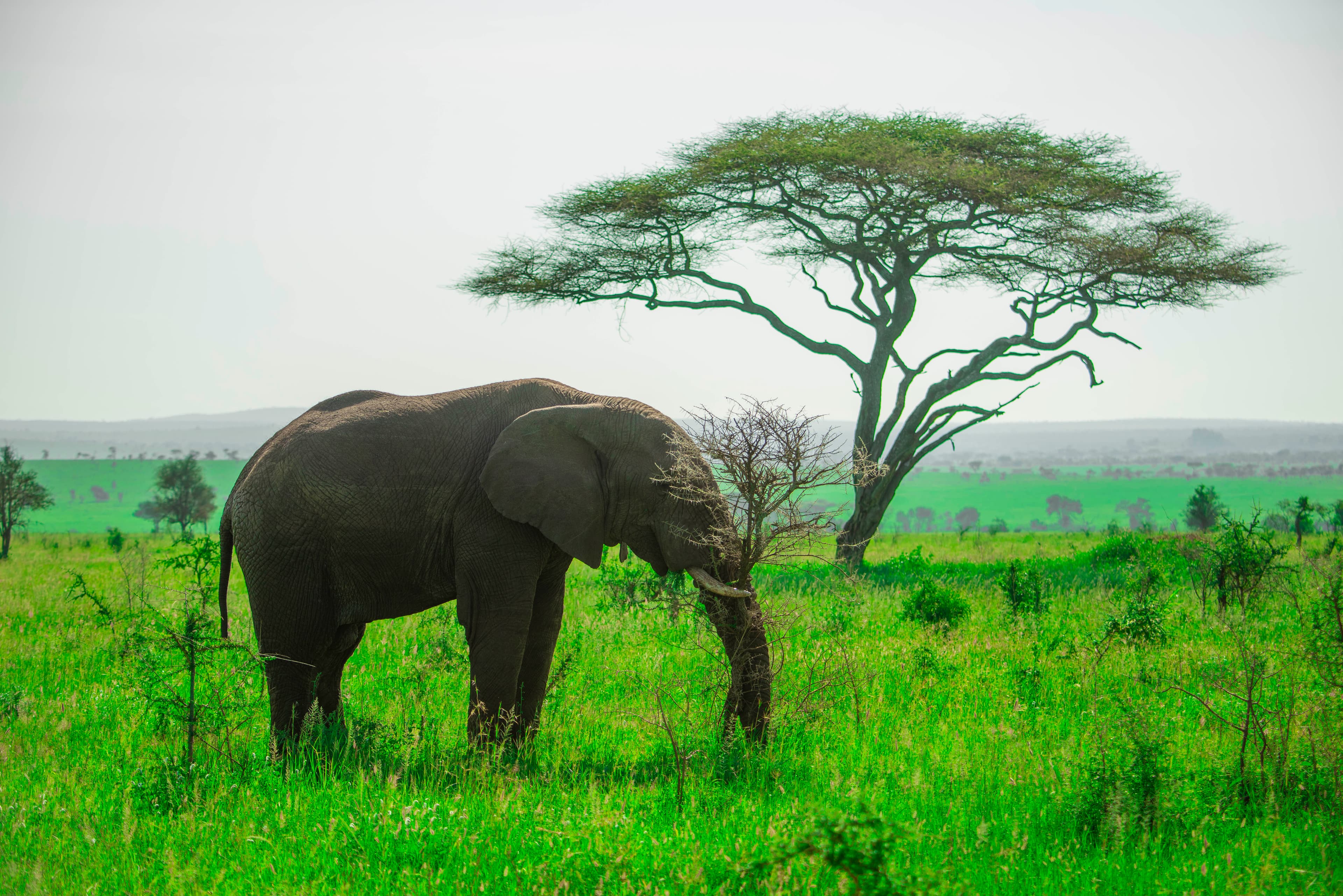 Tanzania Day Trips from Moshi & Arusha