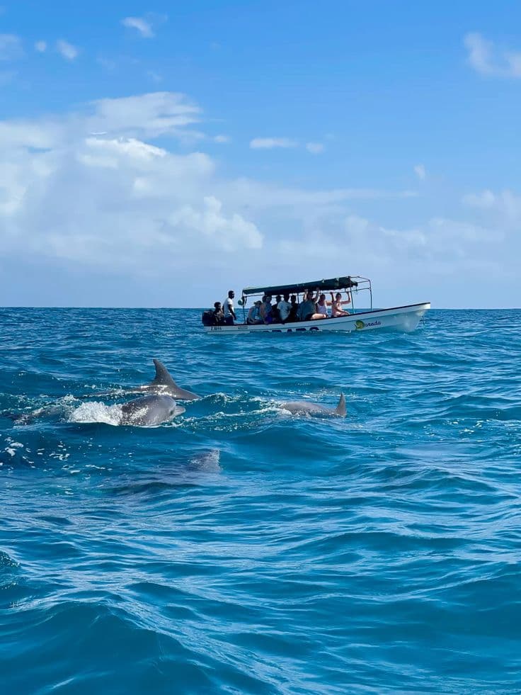 Prison Island Tours