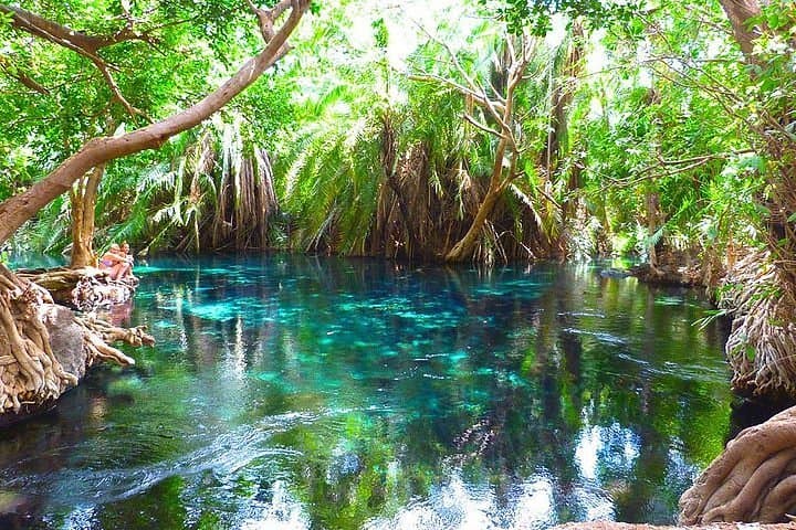 Chemka Hot Springs Day Tour